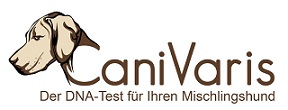Der DNA-Test für Ihren Mischlingshund